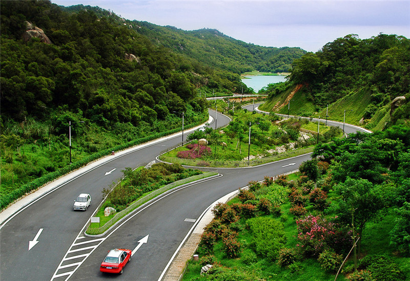 西安苗木基地